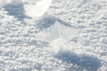 Similar image 21529151