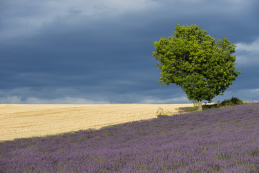 Similar image 21529155