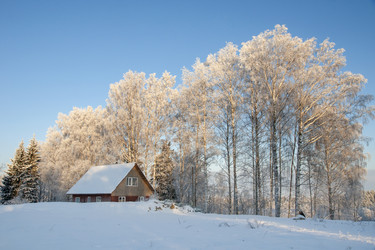 Similar image 21529159