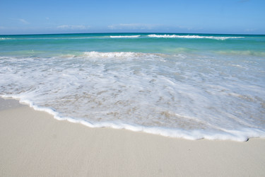 Similar image 21529161