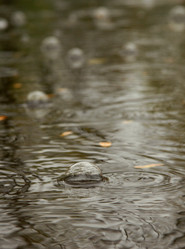 Similar image 21529165