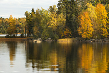 Similar image 21529167