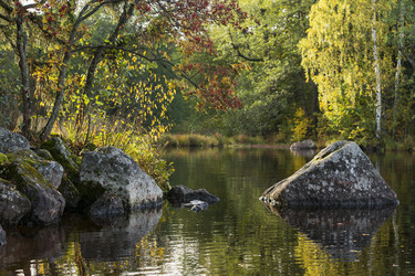 Similar image 21528965