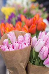 Similar image 21528985