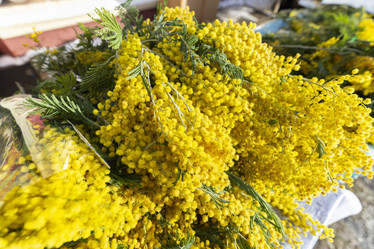 Similar image 21528988