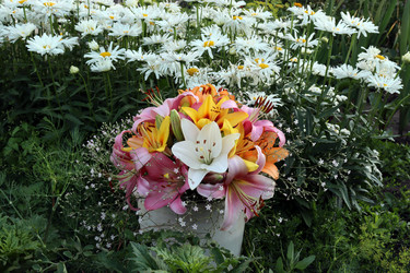 Similar image 21528746