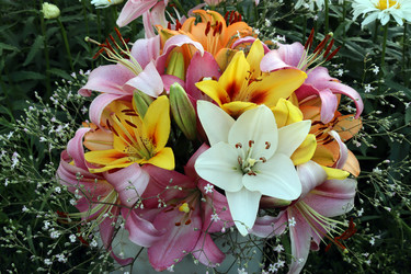 Similar image 21528747