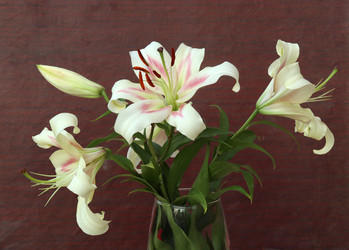 Similar image 21528748