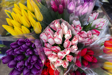 Similar image 21528990