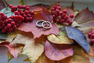 Similar image 21528995