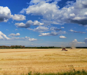 Similar image 21528756