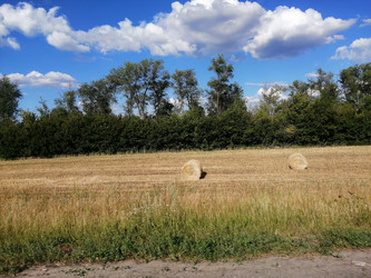 Similar image 21528757