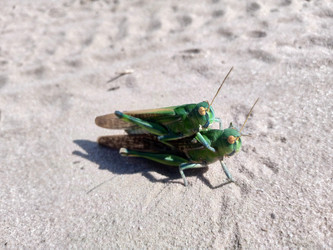 Similar image 21528758