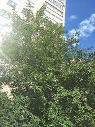 Similar image 21530123