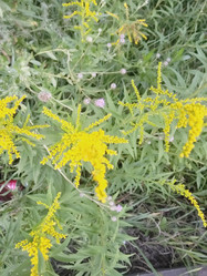 Similar image 21528760