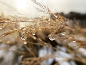 Similar image 21530427