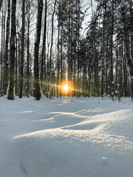 Similar image 21530428