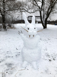 Similar image 21530429