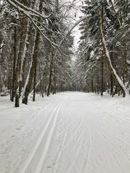 Similar image 21531456