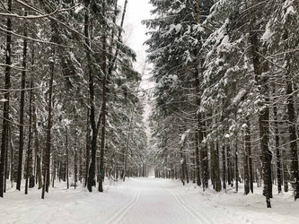 Similar image 21530430