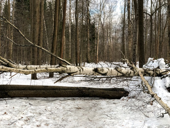 Similar image 21529527