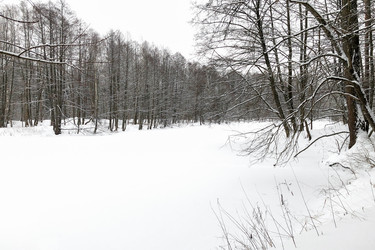 Similar image 21529528