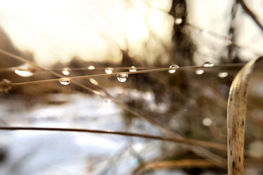 Similar image 21529530