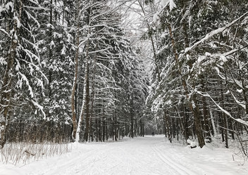 Similar image 21529532