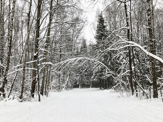 Similar image 21531458