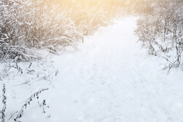 Similar image 21529537