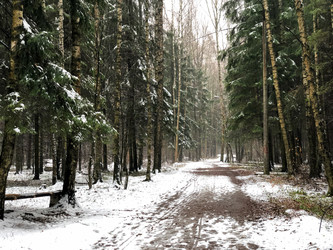 Similar image 21530432