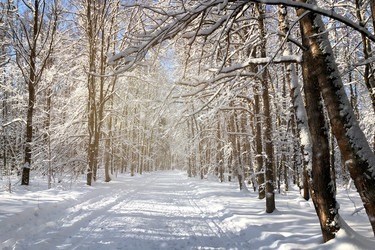 Similar image 21530433