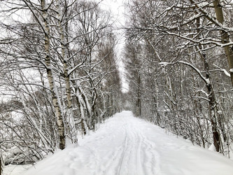 Similar image 21529539