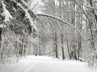 Similar image 21529540