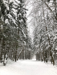 Similar image 21531041