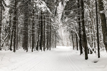 Similar image 21530436