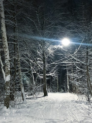 Similar image 21535274