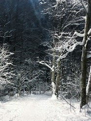 Similar image 21531478