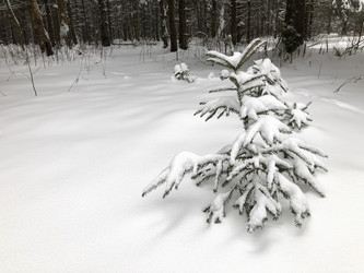 Similar image 21531479