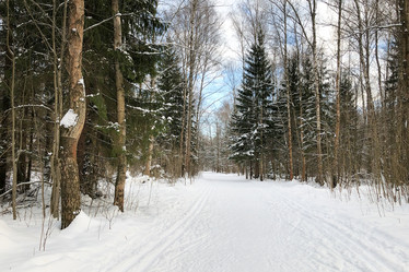 Similar image 21531043