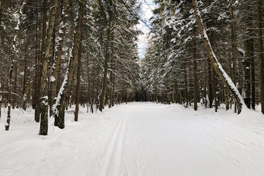 Similar image 21531480