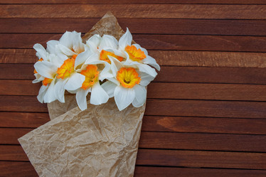 Similar image 21531380