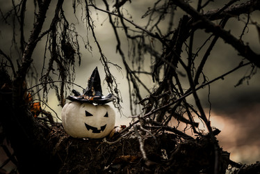 Similar image 21529576