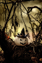 Similar image 21535275