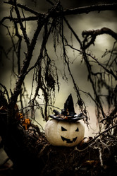 Similar image 21530439