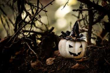 Similar image 21531481