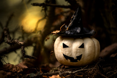 Similar image 21530440