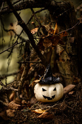 Similar image 21534045