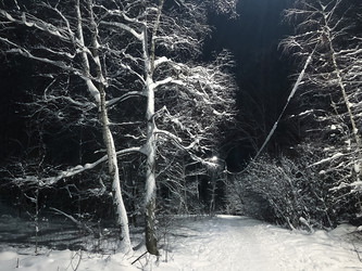 Similar image 21530441