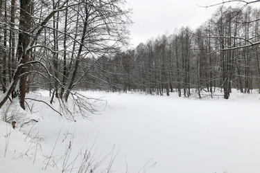 Similar image 21535276